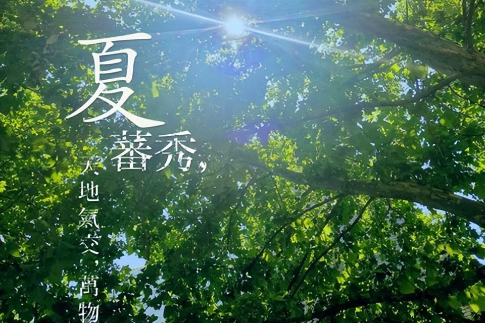 2026年三伏天时间表已出炉，有2个坏消息、3个提醒，建议早做准备完整伏期敲