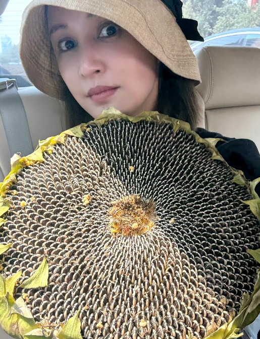 哭笑不得，袁弘这宠妻方式真是太憨厚了！原本以为张歆艺嫁给袁弘多少会有些膈