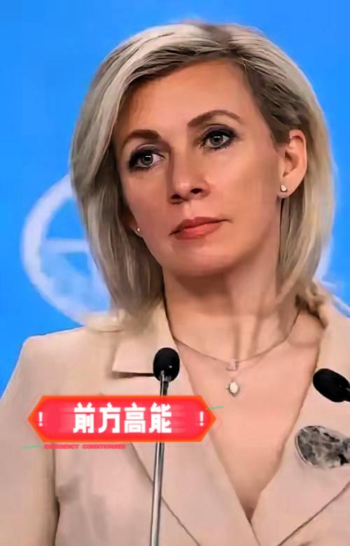 真若是中日开战，俄罗斯会不会出兵的问题，俄罗斯外交发言人给出了答案！在11月18