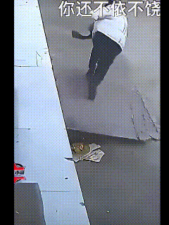 这回该长记性了！都说狗狗有灵性，这种下意识的躲闪就能说明一切……小狗是觉察