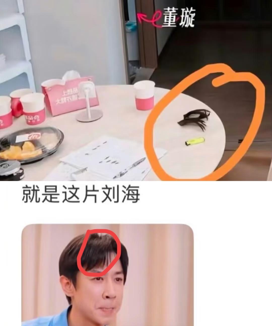 哈哈哈，差点笑哭了！这下张维伊的天又要被捅破了！不得不说，这届网友真的个个都
