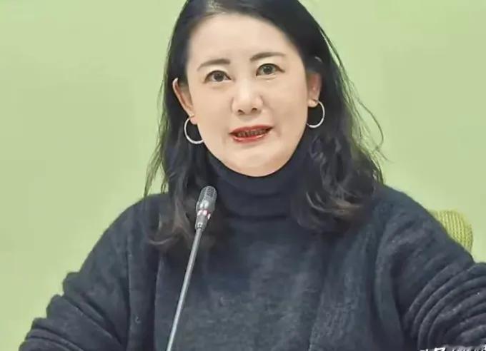台湾是独立不了的，因为美国也不希望台湾独立，因为台湾一独立就意味爆发台海战争，这