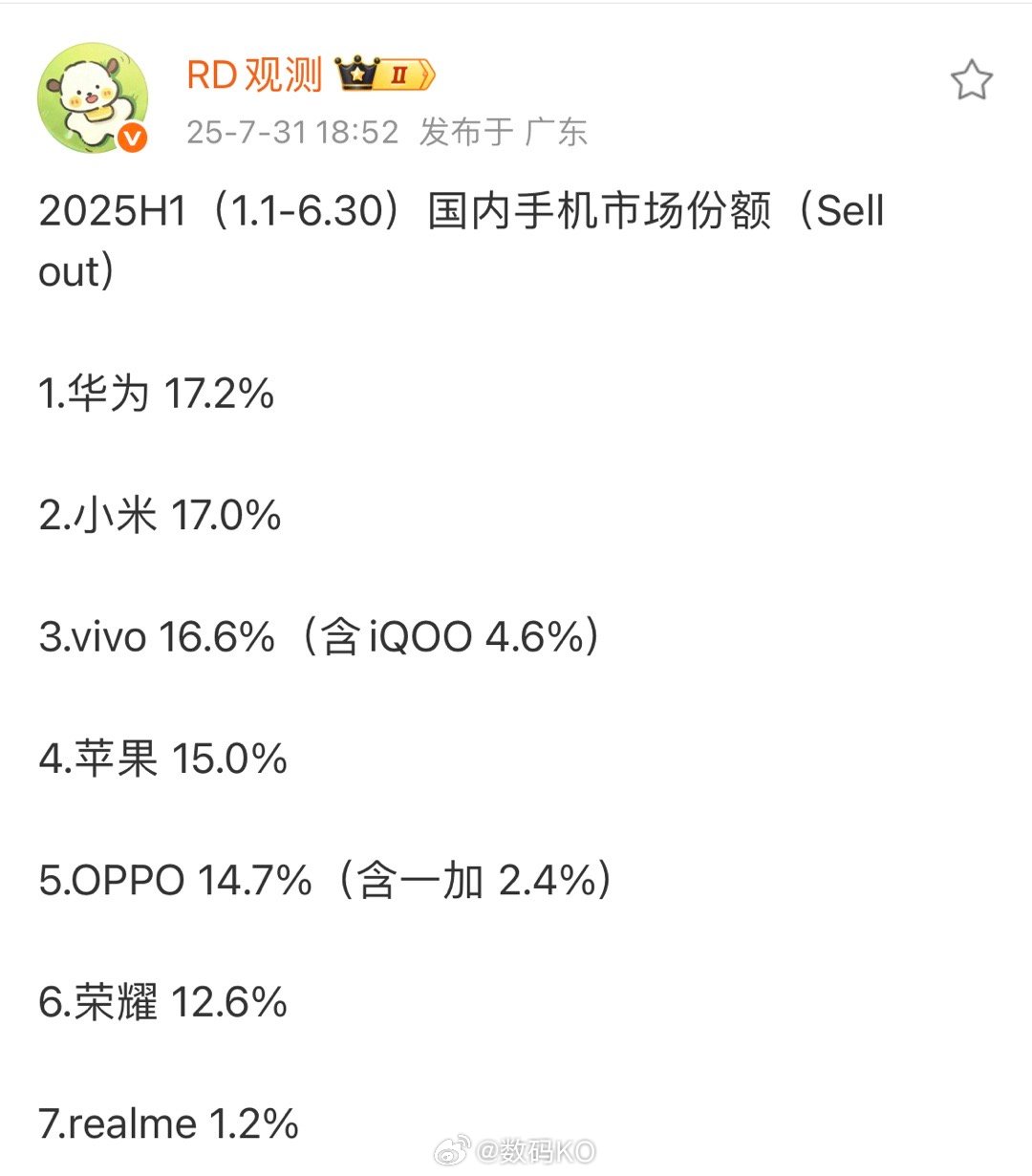2025年上半年（1.1-6.30）国内手机市场份额（Sellout）前五