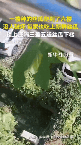 这下出名了，不仅江苏知道了，全国人民都知道了！江苏连云港，住在一楼的张阿