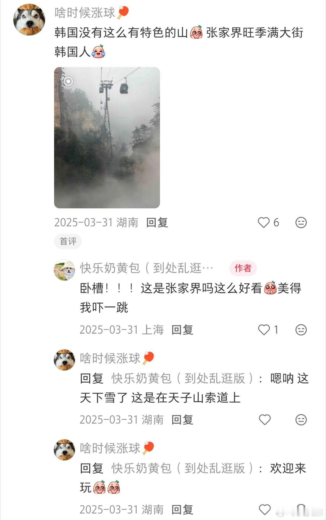 怪不得韩国人爱去张家界旅游为什么韩国人喜欢去张家界旅游？网友评论:因为韩国没有张