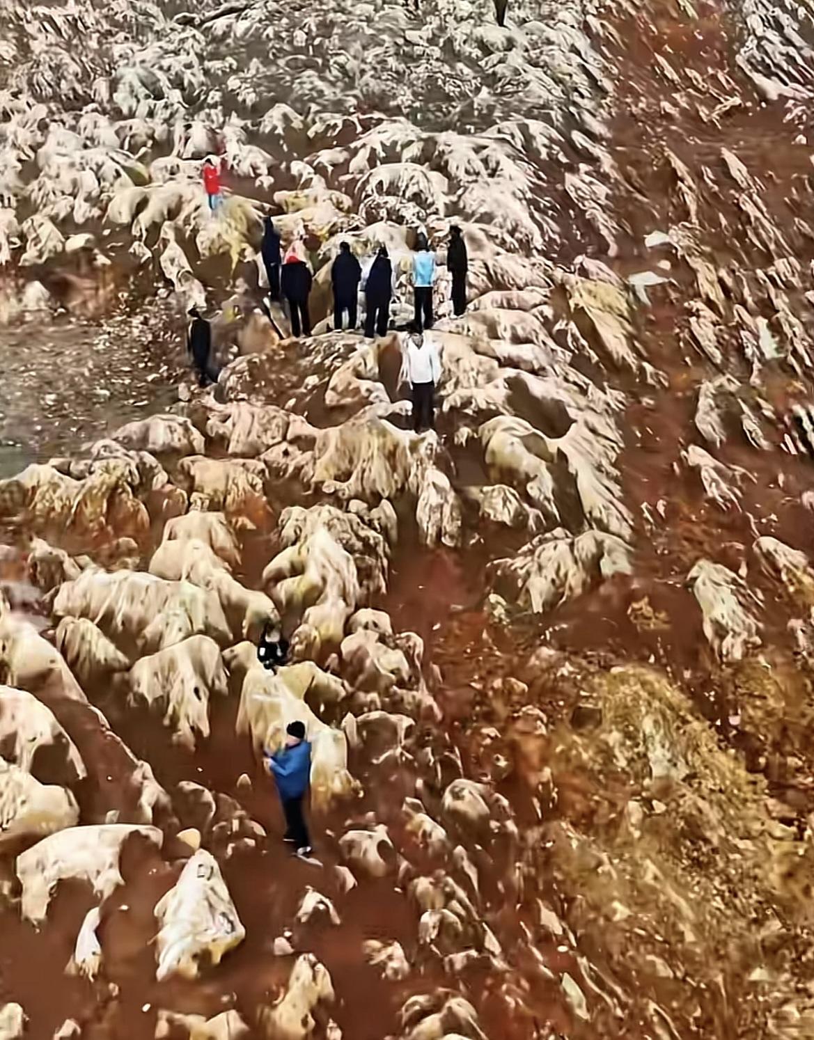 挖到“宝”了！山东宁阳，济枣高铁施工现场，挖出一片怪石，连绵上百米，经专家判定，