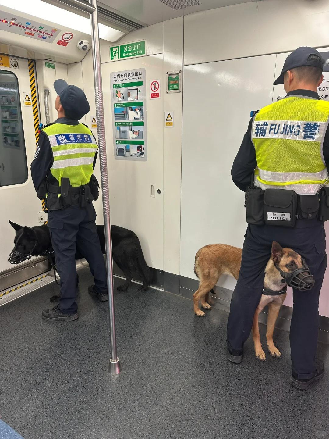 “地铁上遇到两只内向的警犬”