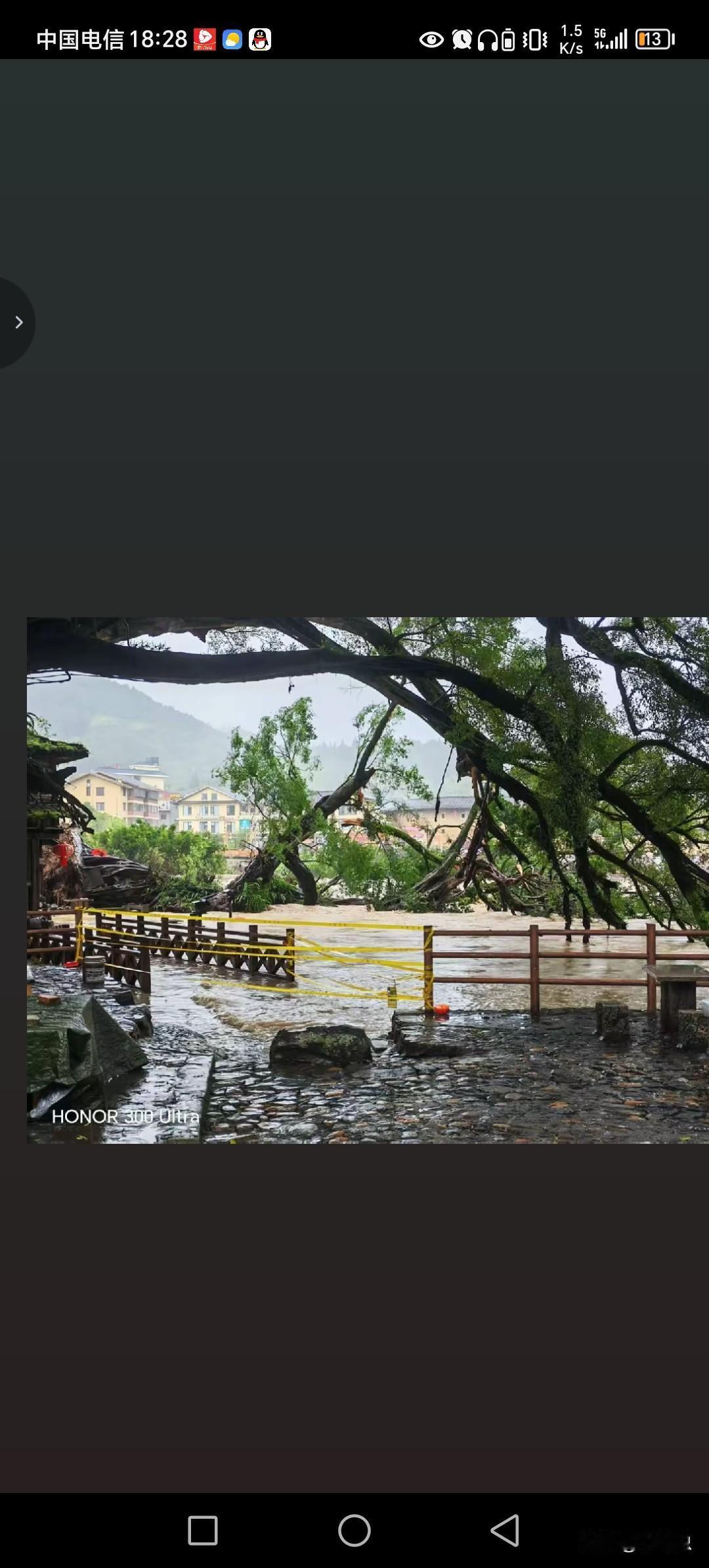 漳州南靖县云水谣600年古树倒了。这损失巨大，根本无法用钱来衡量的。古树价值