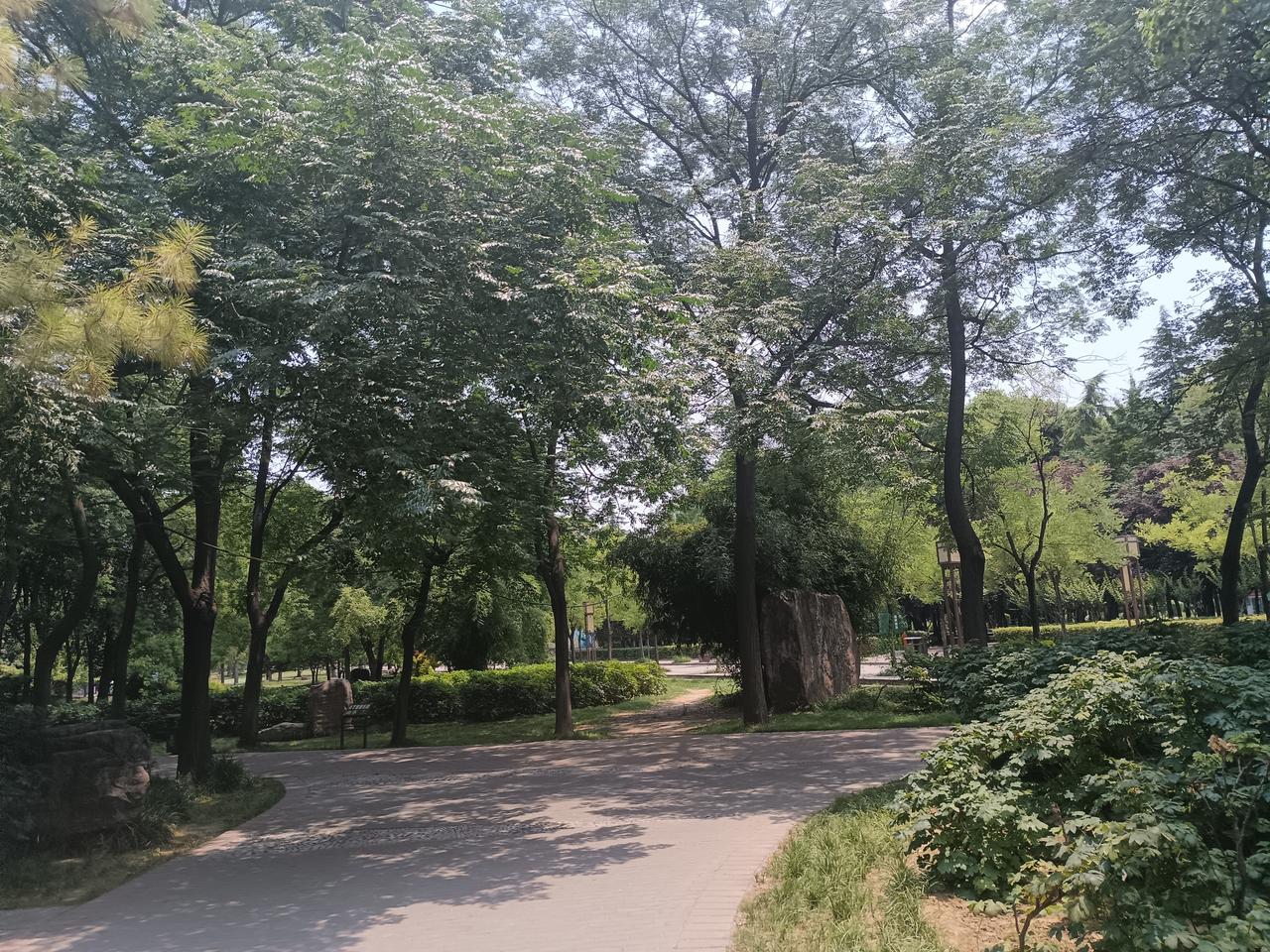 上周几个头部企业，带同部门一块发了个文，关于加强市值管理方面的。结果原来不怎么