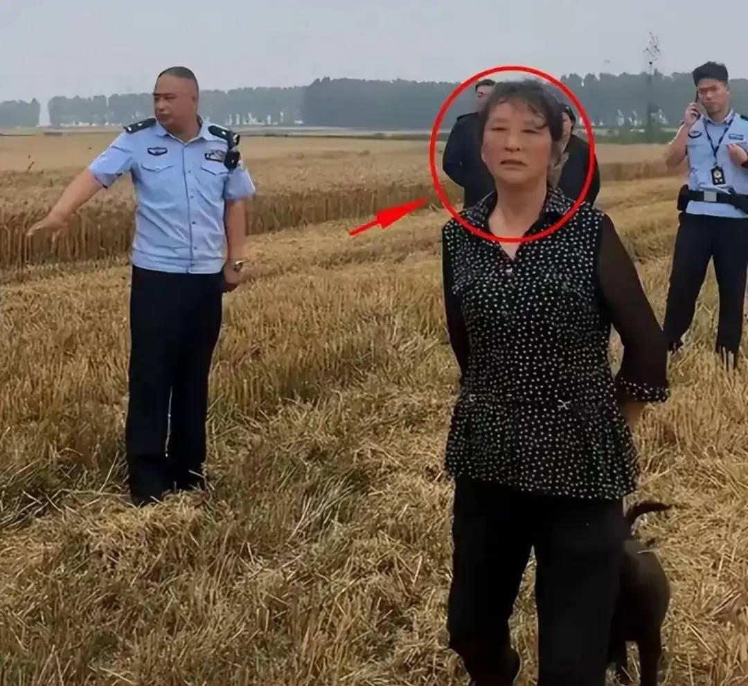 【琅河财经】很气愤，看到这个新闻，近期湖北连阴雨，麦子倒伏、泥泞，难收割，本地农