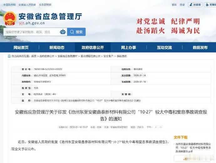 2026年1月17日，安徽省应急管理厅正式通报池州东至“10·27”较大中毒和窒