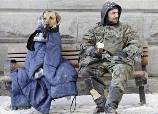 斩杀线下的美国流浪汉的平均寿命大约3-5年，但有件让人疑惑的是为什么有些美国人自