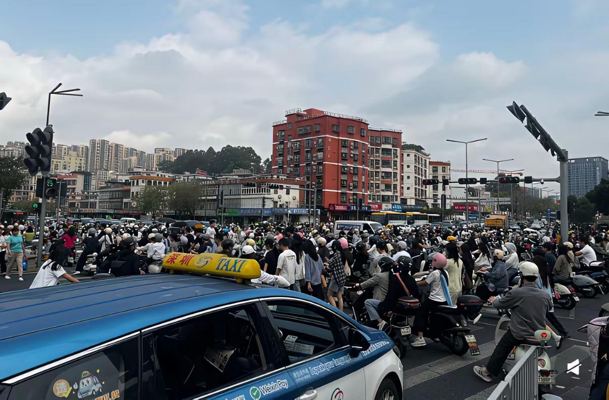 若没有那么多电鸡，深圳的城市面貌绝对是世界第一，纽约、东京啥的都赶不上，现