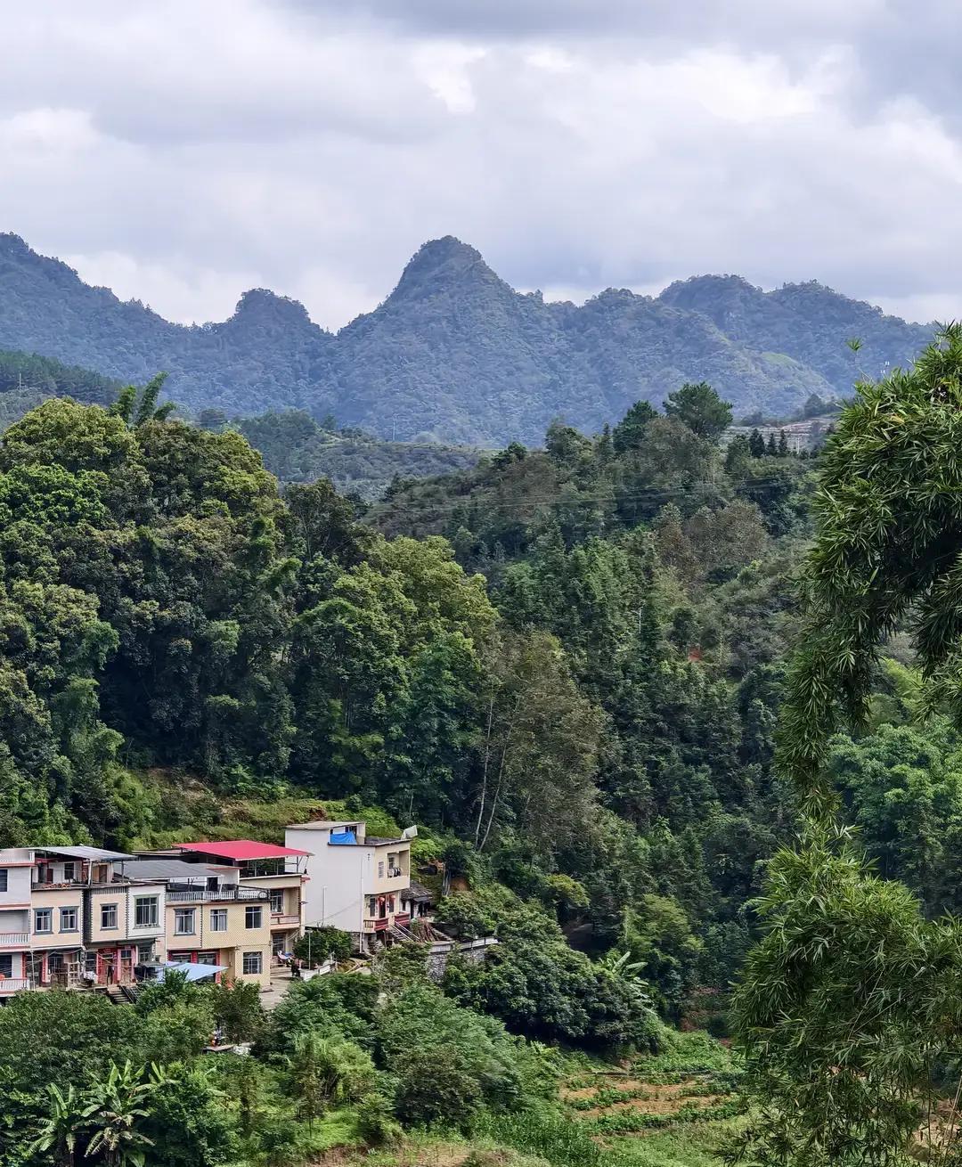 村里三个大学生在家“闭关修炼”五年，快递零食堆成山，邻居摇头：70后这年纪都当爹