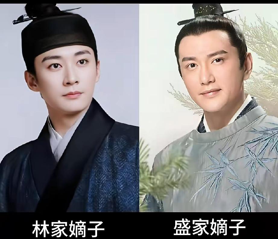 谁能想到，知否里的盛家嫡子长柏，和兰香如故当中的林家嫡子林锦岐，两位气质端方的演