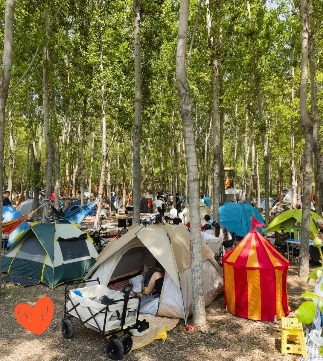 酒店傻眼了！游客集体不住房，车里睡充气垫、路边扎帐篷，这届消费者不好骗了！最