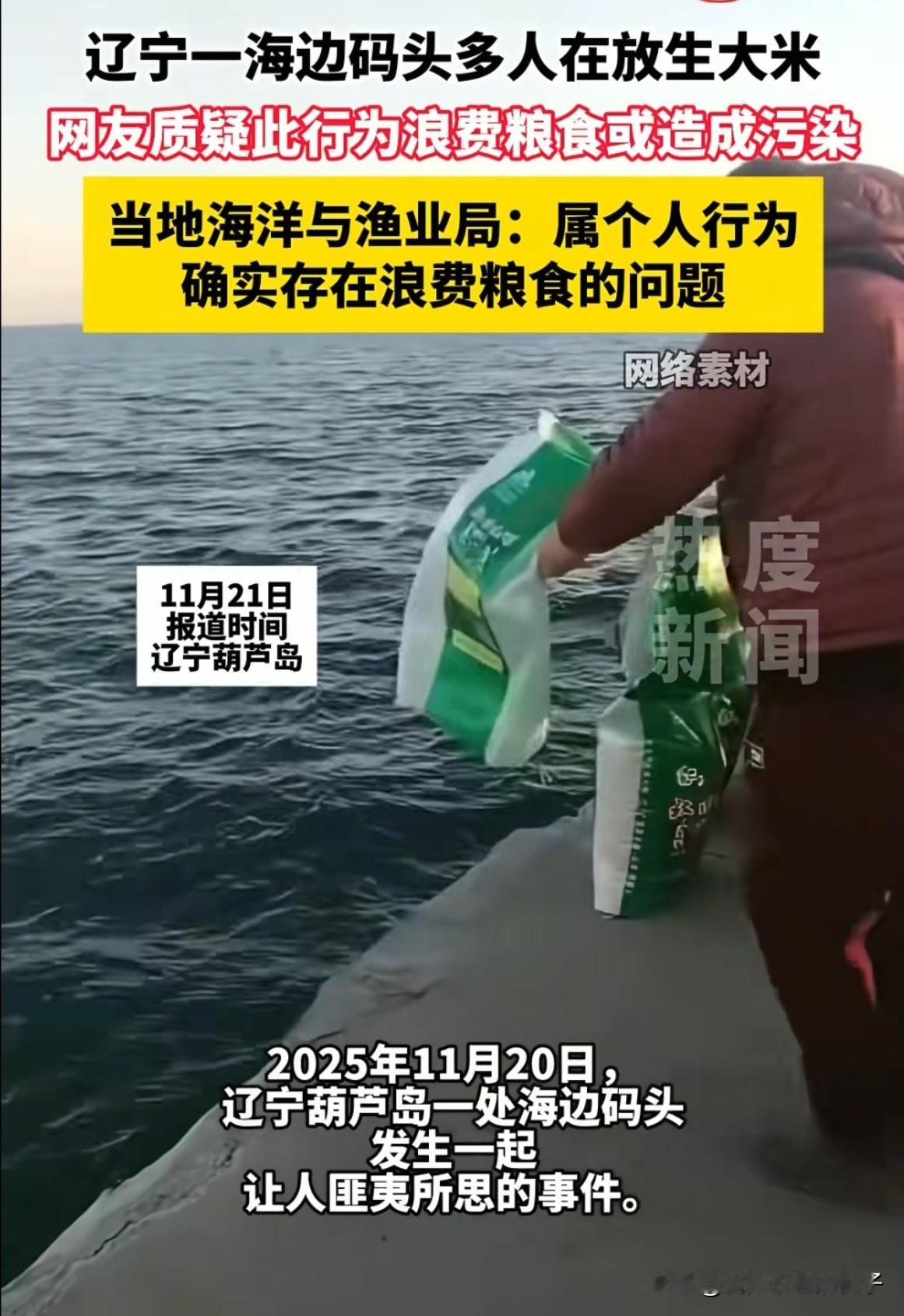 这得造了多大的孽啊！辽宁葫芦岛，一群大妈竟然在海边放生大米，边往海里倒着大米