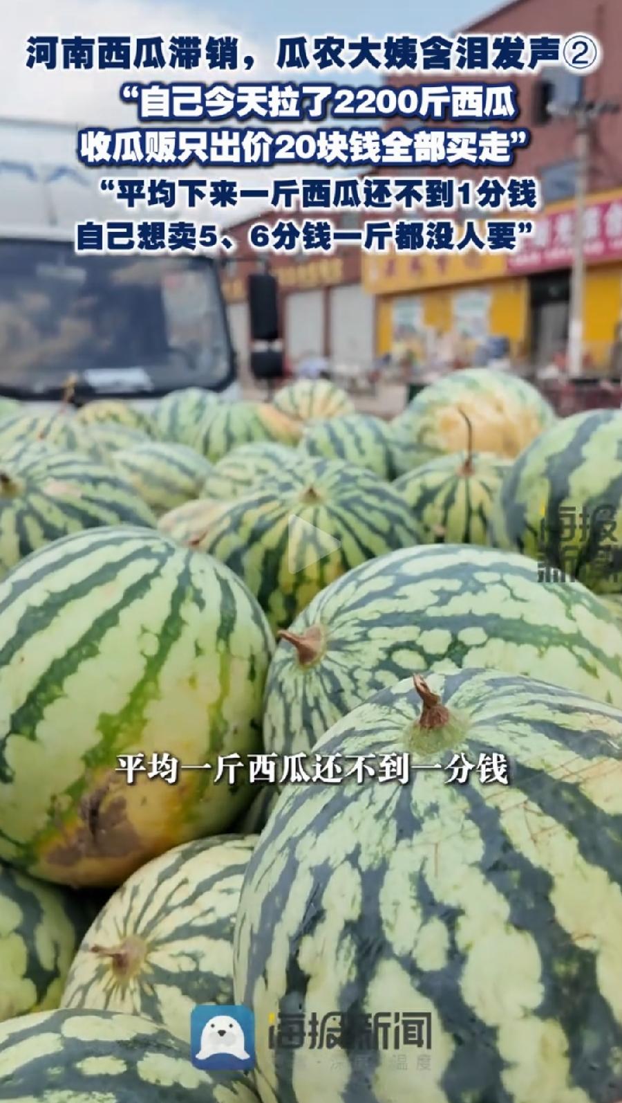 瓜农西瓜为什么便宜？电商快递没人买！西瓜太重、运费比西瓜贵，运输要求高、怕不新