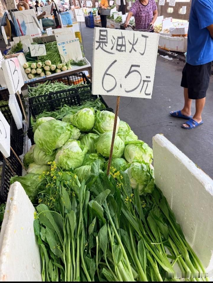 这是什么菜？广东的朋友来解释一下