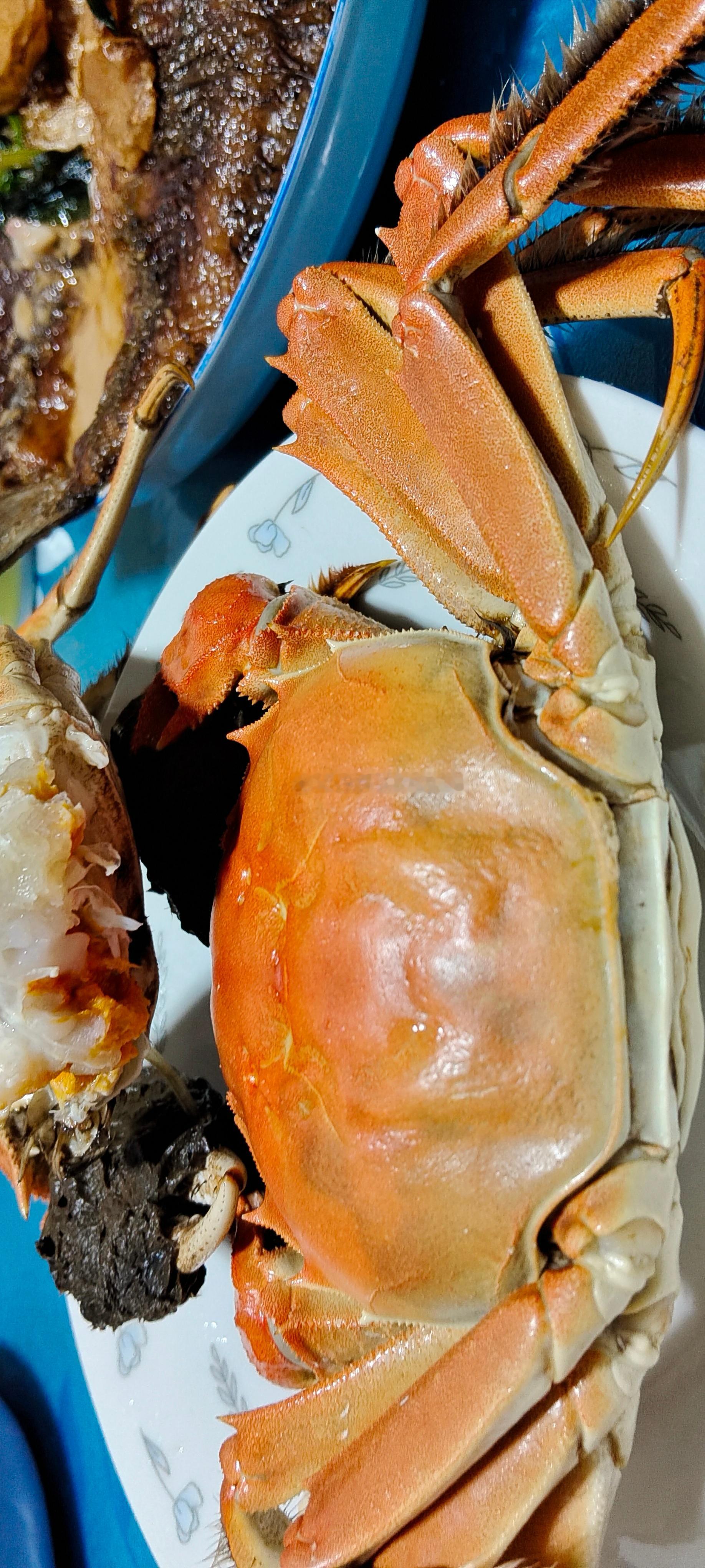 一只大闸蟹引发美国一州恐慌还记得老版的红楼梦吗，就在第一集“林潇湘魁夺菊花诗 薛