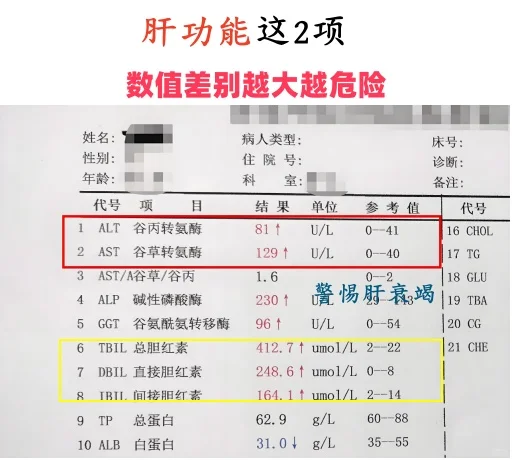 肝功能这2项，数值差别越大越危险！