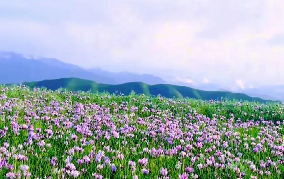 代驾小哥感叹：史上最严禁酒令效果好，生意差了！上周六晚上，我和朋友小酌几
