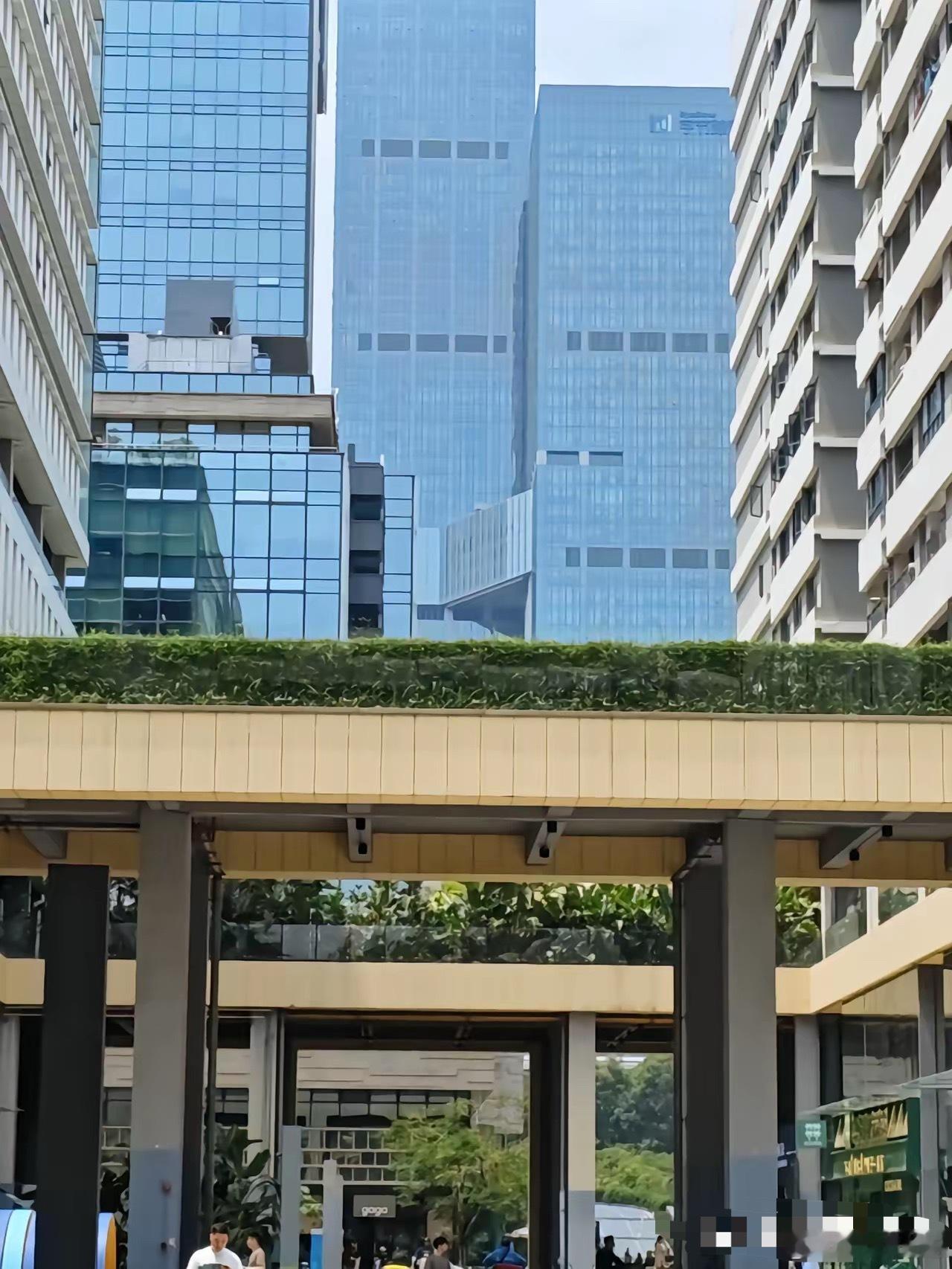 等了快一个月，某地理工大学终于对巴坦留学生给予退学申请的处理结果。为什么不是开除