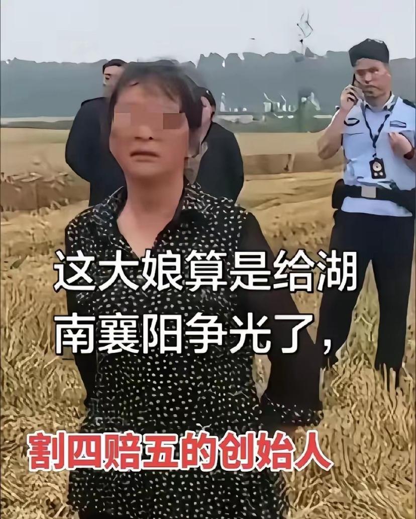 襄阳火了，这次不是因为郭靖黄蓉，而是因为收麦。[捂脸哭][捂脸哭]其实事情没有想