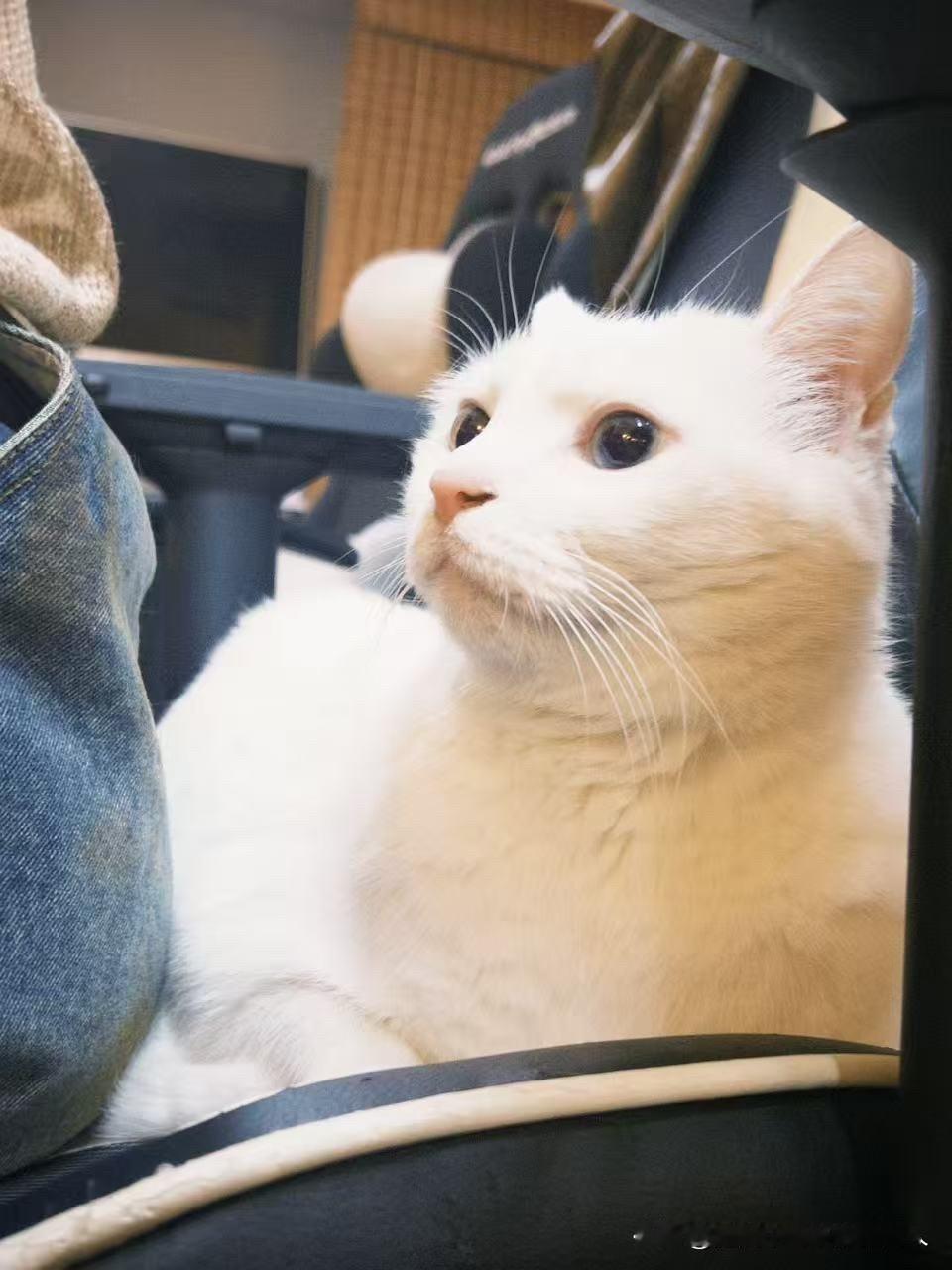 我承认我真的受不了了每天数着退休倒计时，但还有四年多的时间才退休，真的痛苦得不