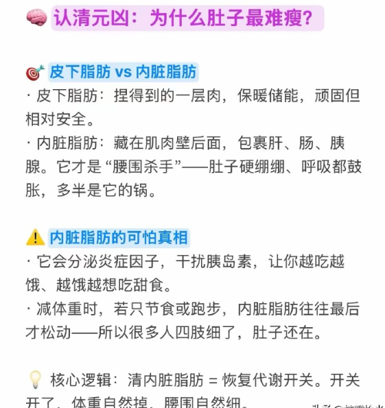 Deepseek分析：145斤瘦到100斤！不饿不跑先清内脏脂肪，腰会细​