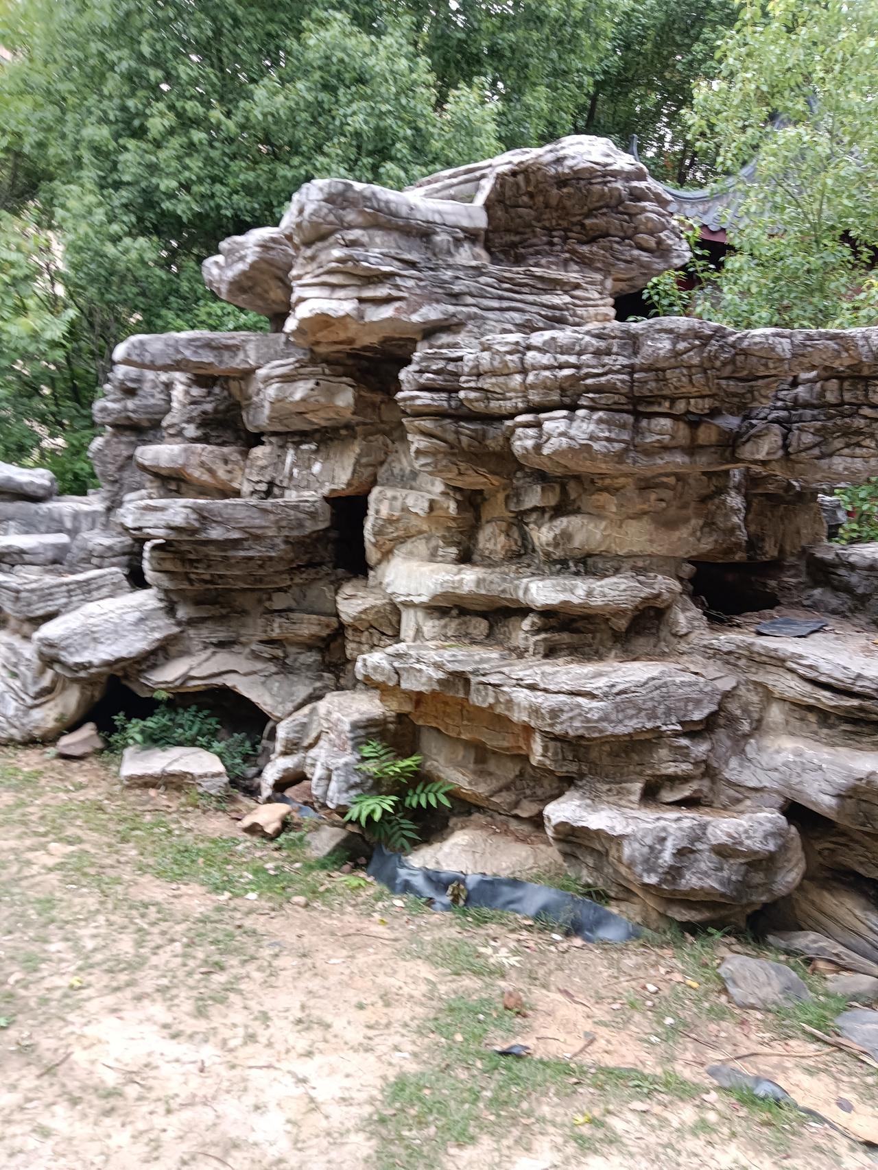 马斯克预言美国下一任总统万斯可能性大，这一说法让美国政坛沸腾。此前他就曾在内部会