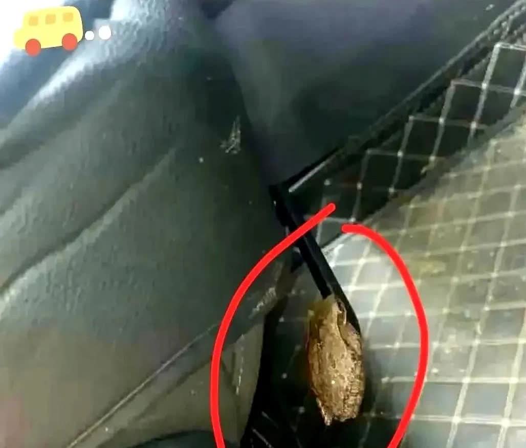 河北，一名男子到朋友家做客，等吃罢午饭，到了下午，他准备走的时候，结果，他打开车