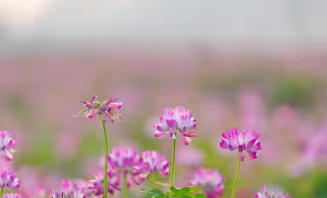 一个男人爱你入骨，不是给你浪漫，也不是粘着你，而是：两个字——陪伴。这两个字