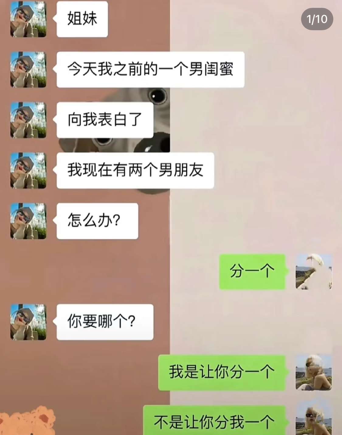 我闺蜜是不是看懂话？我闺蜜是不是看懂话？