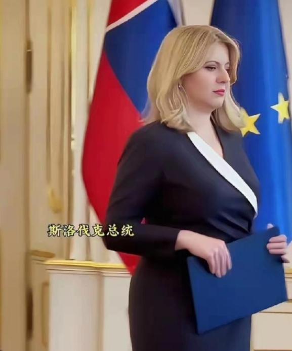 这应该是目前世界上最美的女总统了，这里说的美，不只是外表上的出众，更在于她由内而