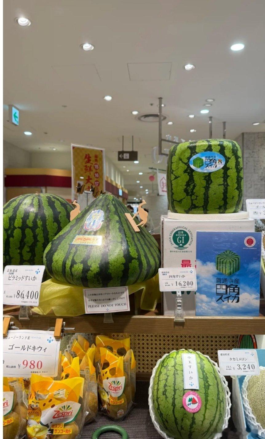 这稀奇古怪的瓜🍉，真是让人吃不起[捂脸哭]而且长的也不想吃...​​​