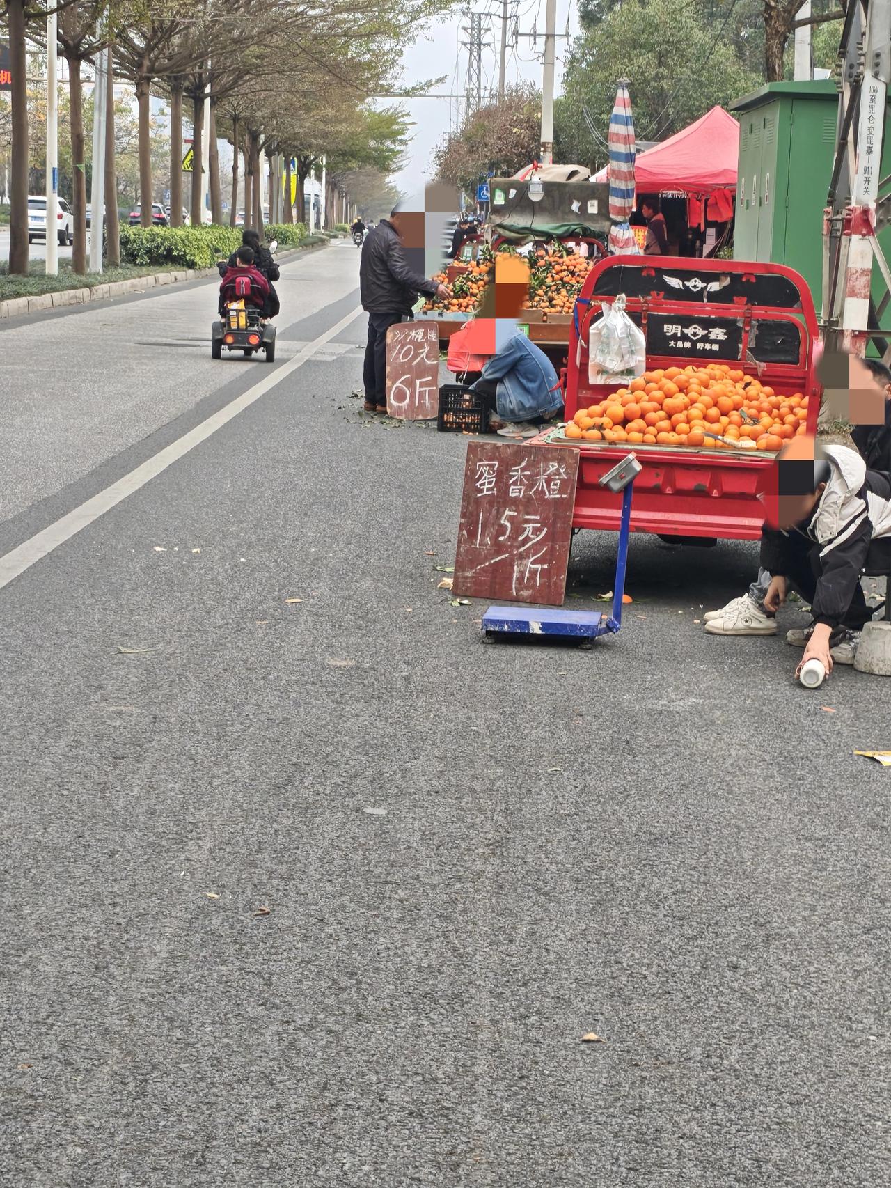 今年冬天各种果是真便宜，路边上沙糖桔10块钱5斤10块钱6斤随处可见，沃柑我都见