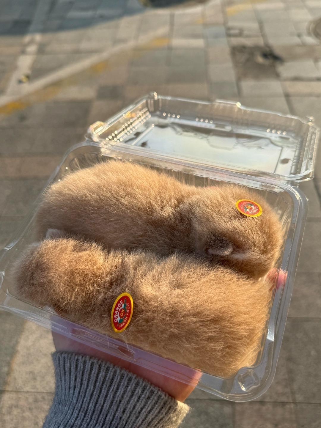 买了两个猕猴桃