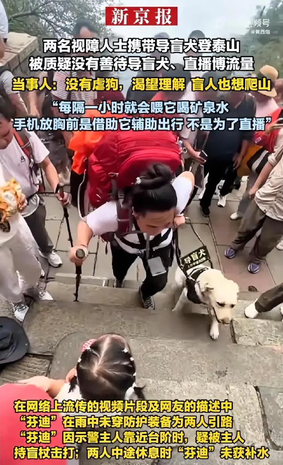 带导盲犬爬泰山”当事人非常后悔！：早知道会失去“芬迪”，就不会去爬泰山了。辩解
