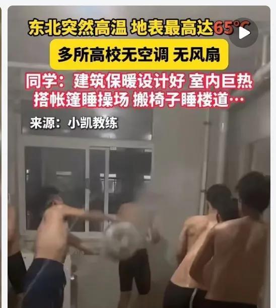东北高温地表最高达65℃#东北大学生热得不行了最近看到视频里，多所东北高校