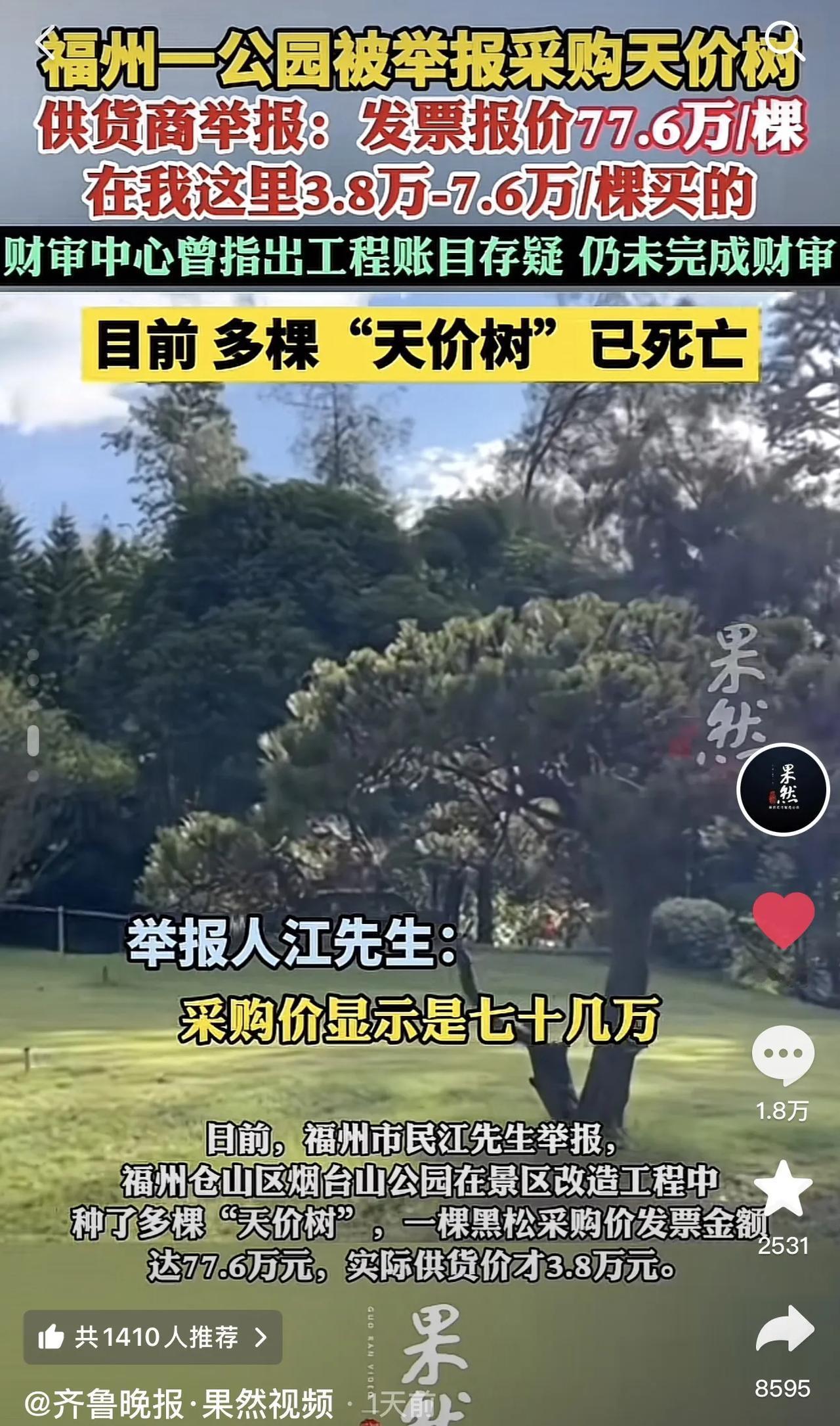 福建一公园采购“天价树”，发票上报价77.6万每棵，实则进价仅3.8万-7.6万