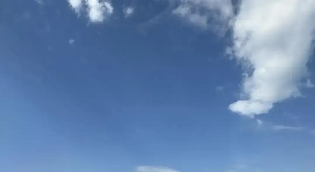 网上突然冒出一句“少出门少社交，退休就种菜养花”，我刷到时愣了两秒，这不就是我妈