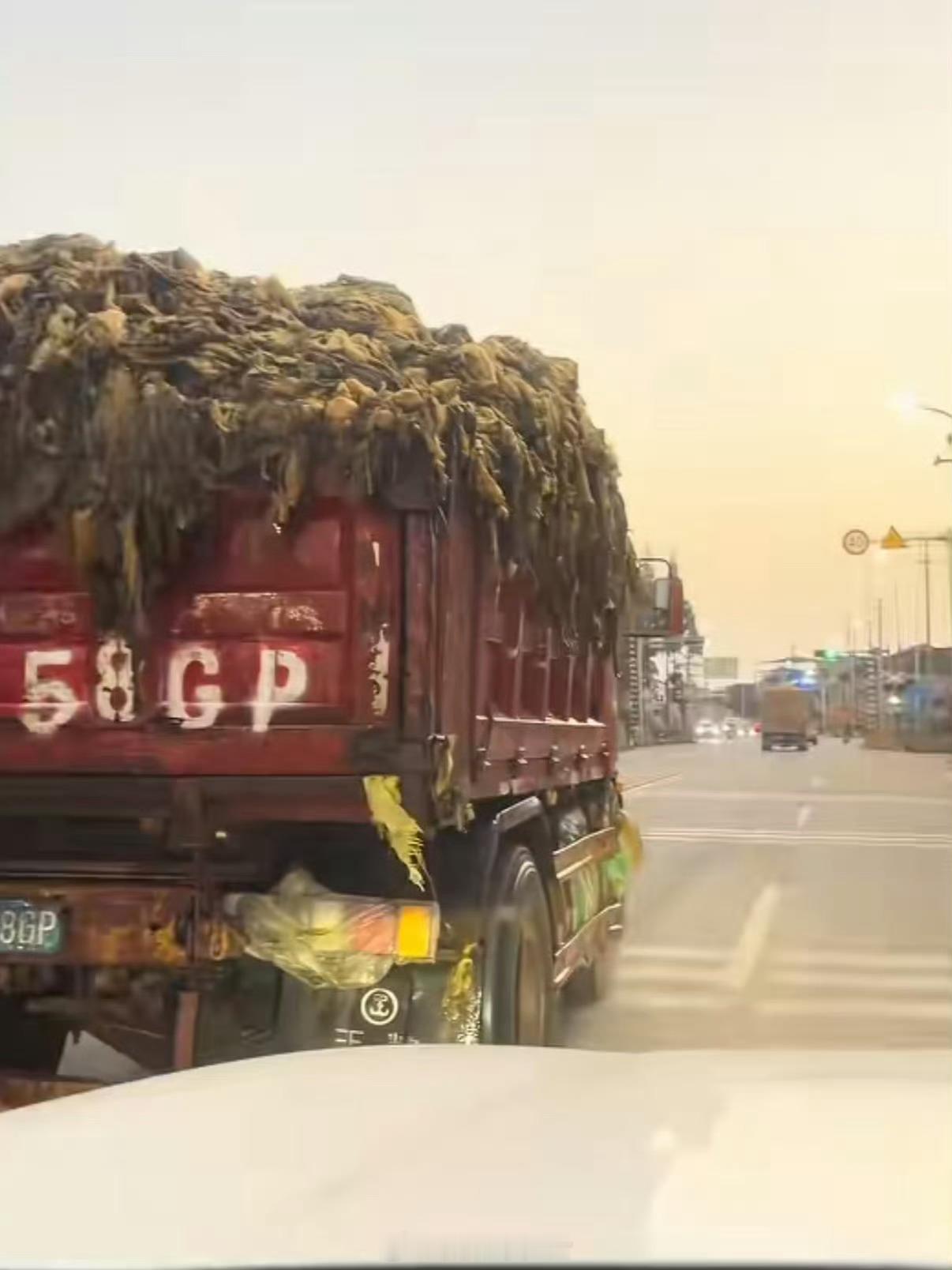 老坛酸菜已经塌无可塌了还好我不吃老坛酸菜的泡面🤢