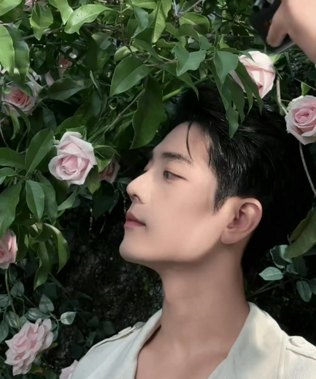 肖战如“花仙子”翩然降临，一袭造型清新灵动，仿佛满屏都萦绕着清甜香气，瞬间治愈所