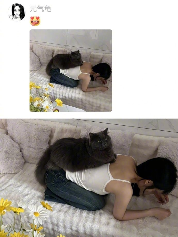 早期猫咪驯服人类珍贵影像​​​