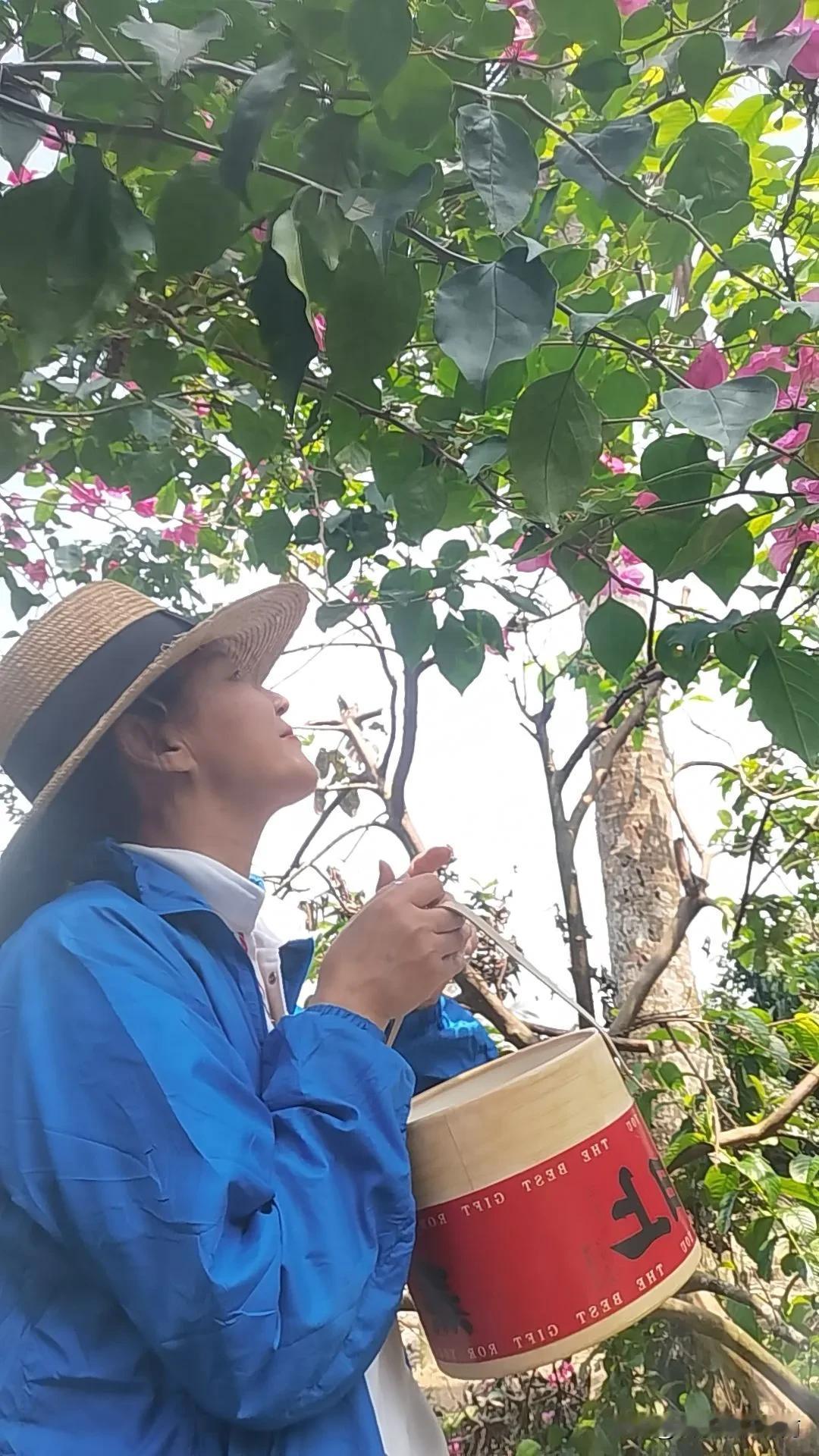 一年的时间里投入了300多万，有一个抖友在海南的东方租下150亩地来种火龙果。我