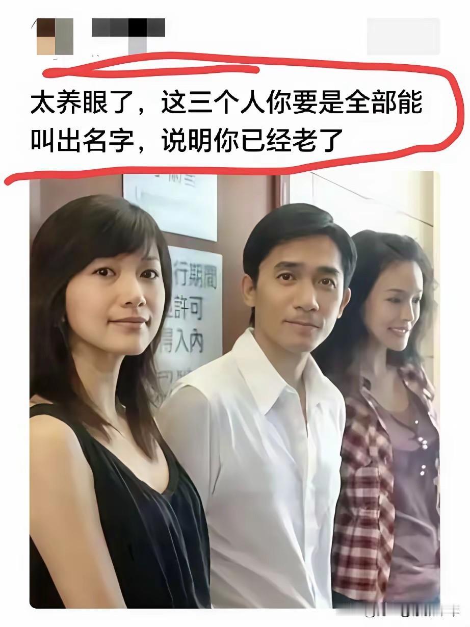 图片上的三人，我只认识梁朝伟，其他的两个美女真的不认识，有没有认识她们的哟？