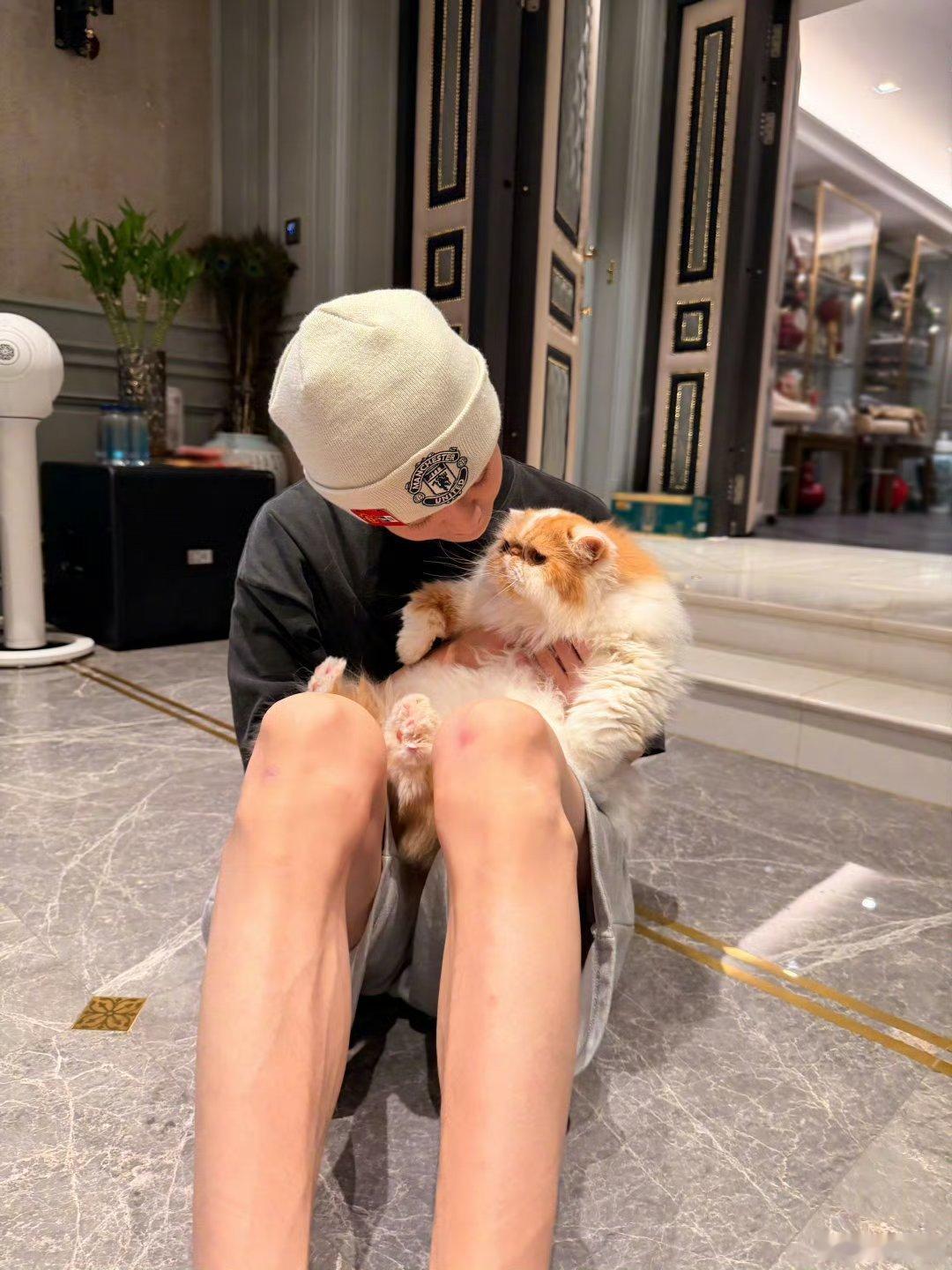 鹿晗晒猫狗，鹿晗简直人生赢家，小猫小狗都那么可爱