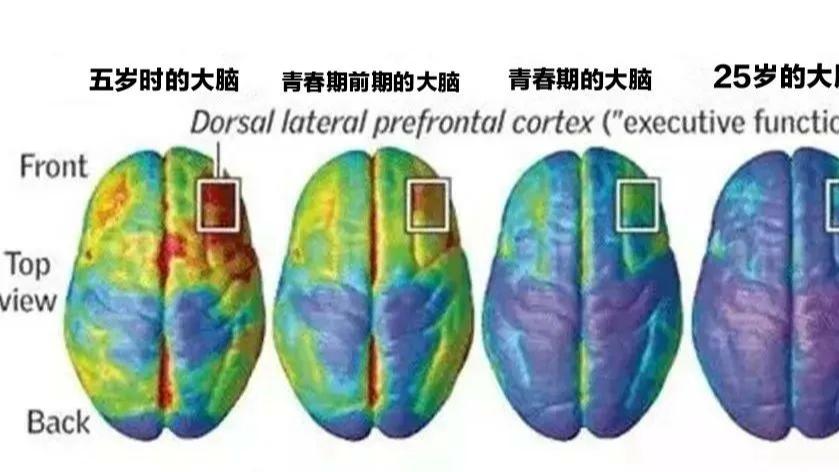 青春期孩子不听话像个炸弹, 父母知道这两点, 成为拆弹专家