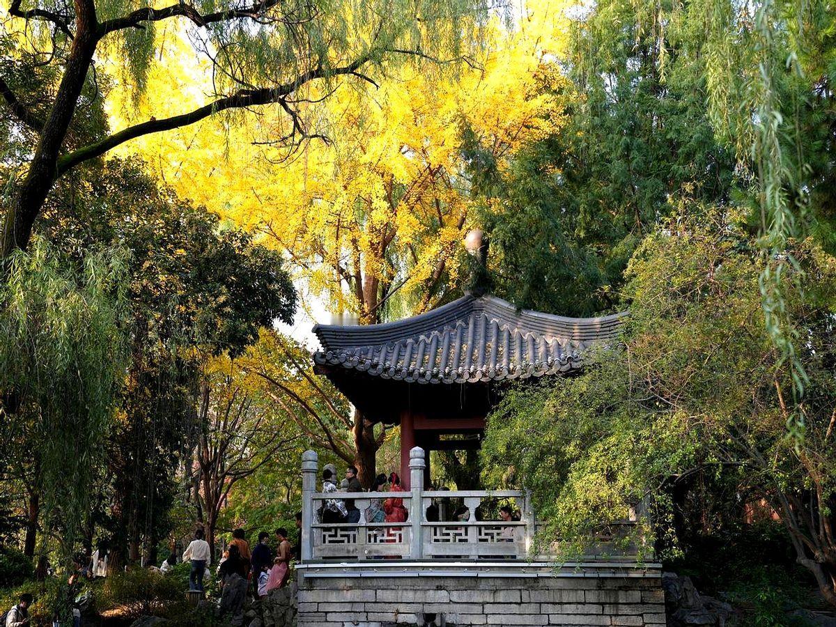 “拍完这张，我就成了她们口中的‘老师’。”连续阴雨后，大雁塔北广场像被谁调高